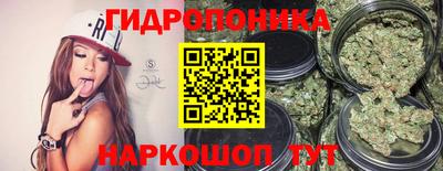 ПСИЛОЦИБИНОВЫЕ ГРИБЫ Пенза
