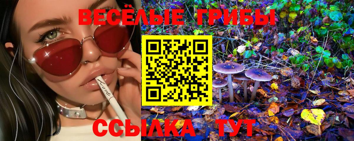 Галлюциногенные грибы Psilocybe  Вход с VPN  Рузаевка 